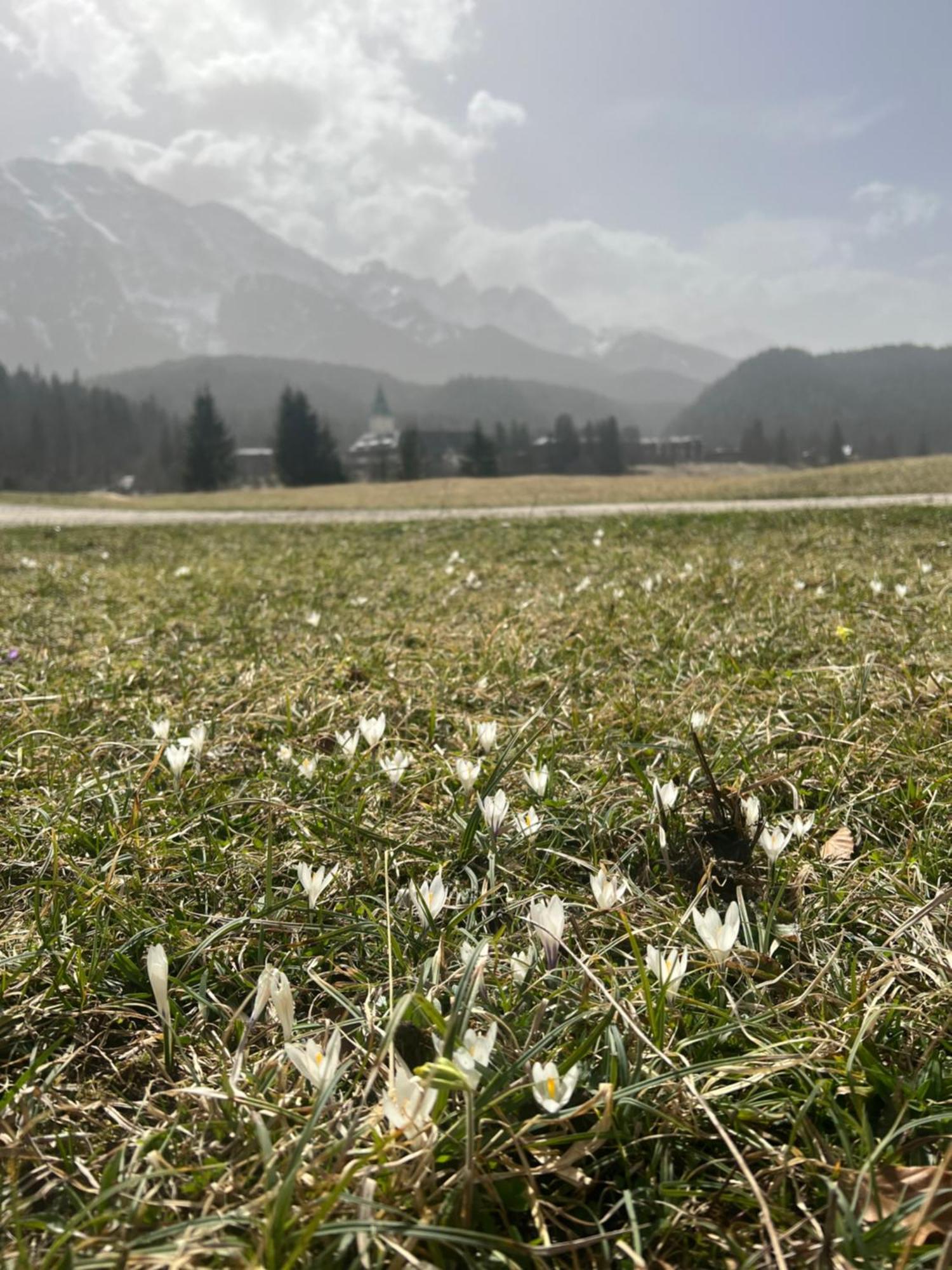 Appartamento Haus Am Berg, 954 Hm, 82493 Klais *